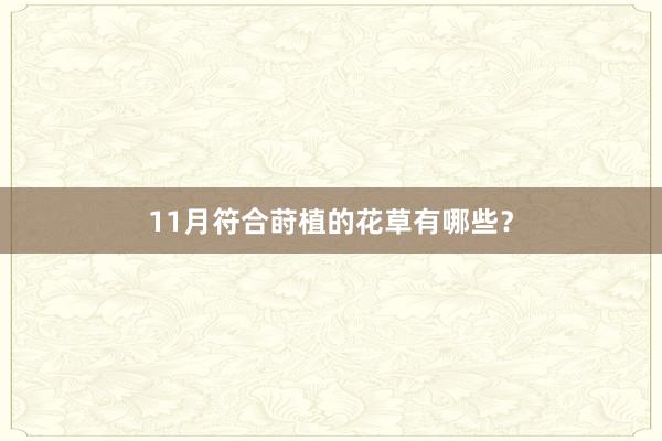 11月符合莳植的花草有哪些？