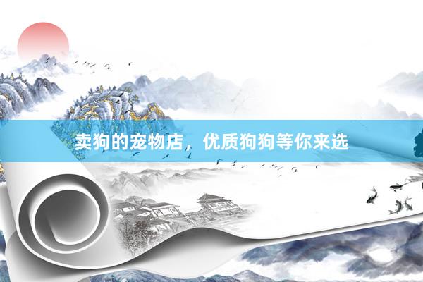卖狗的宠物店，优质狗狗等你来选